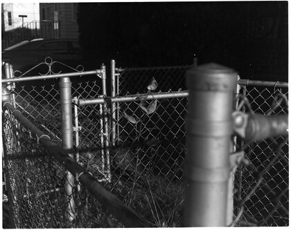 Fences on the way to work