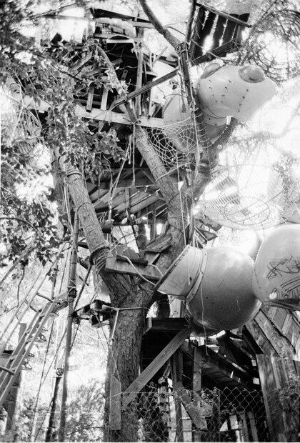 Tree house New Orleans