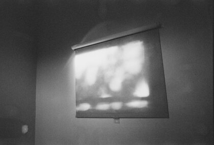 Film projection screen with natural light